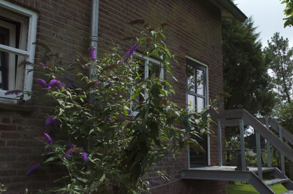 Hotel Kessels Heerlijkheid Maren-Kessel Exterior foto
